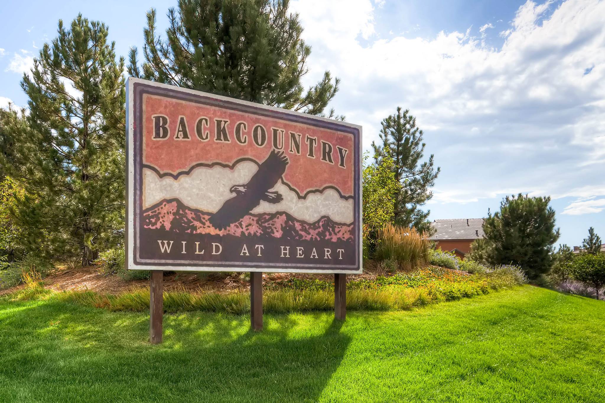 Backcountry Association